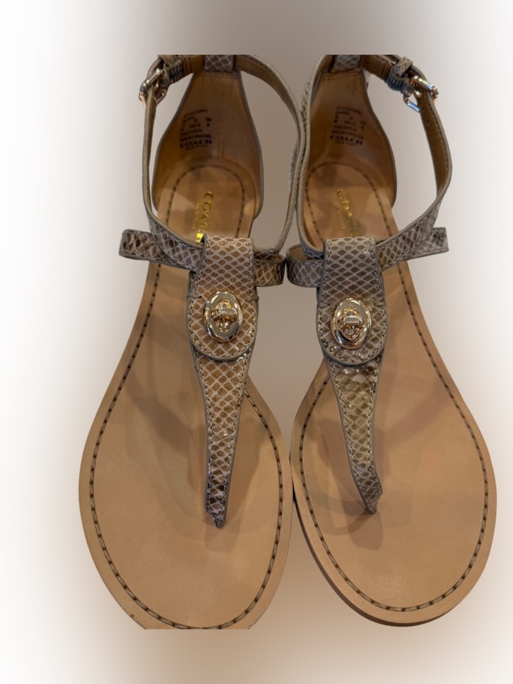 Coach Women’s Turnlock Leather Sandals Ingrid Snakeskin Snake Print Sz 8 NIB